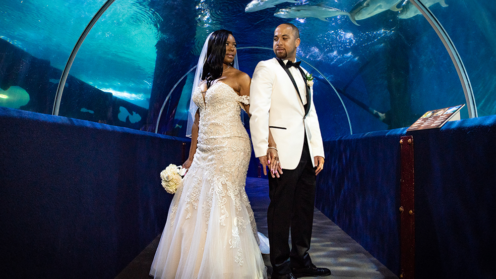 Bride and Groom at Cleveland Aquarium